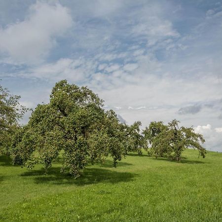 Appartamento Casa Rindler Sigmarszell Esterno foto