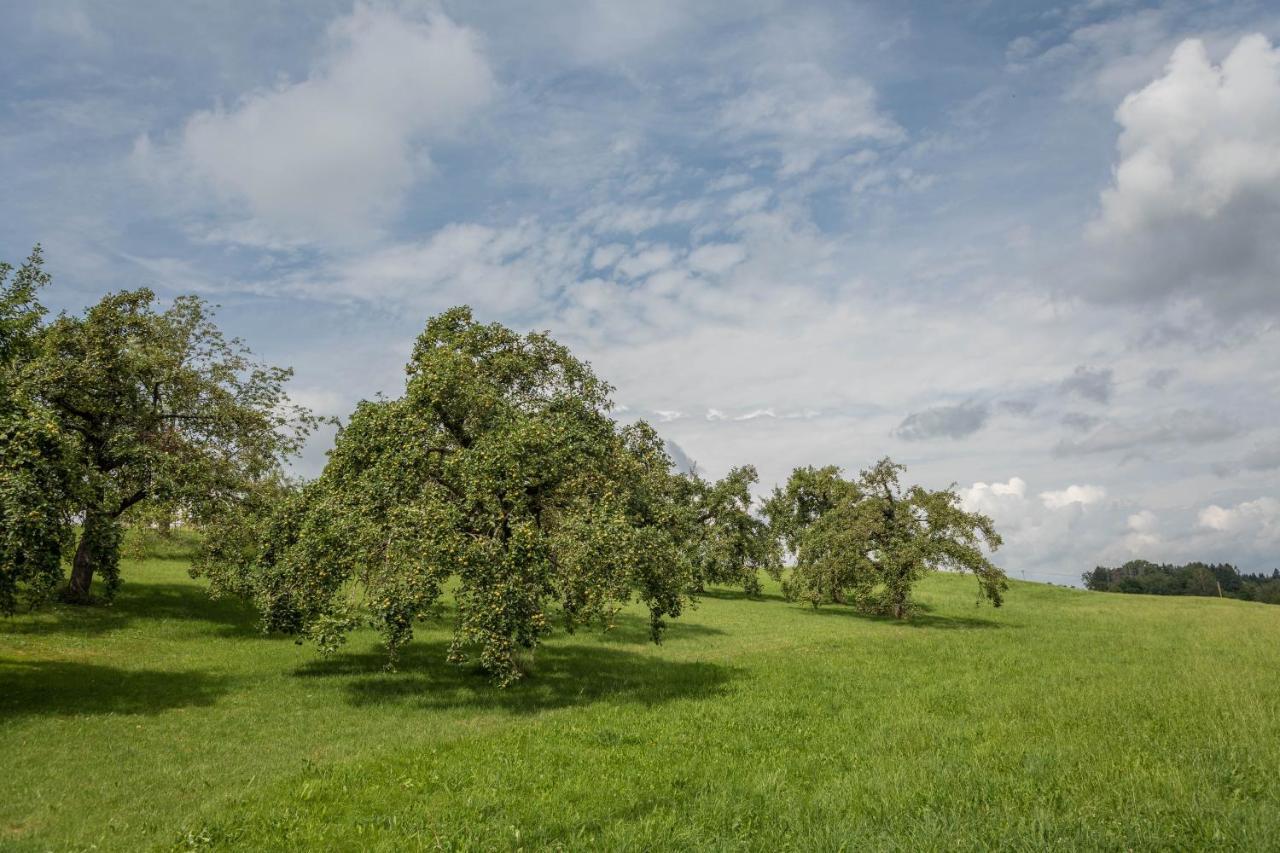 Appartamento Casa Rindler Sigmarszell Esterno foto